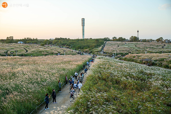 Haneul Park