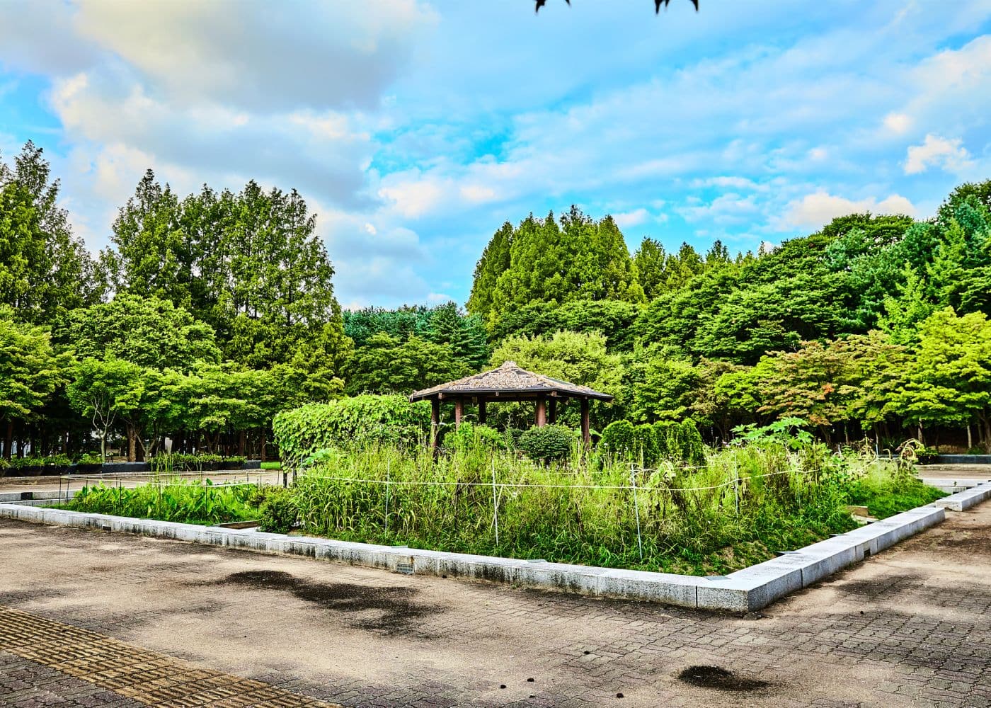 Seocho Culture and Arts Park