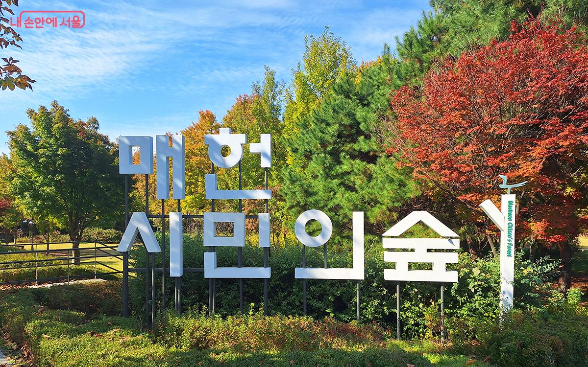 Maeheon Citizens' Forest