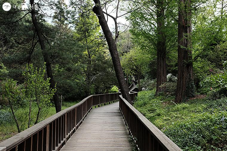 Hongneung Forest
