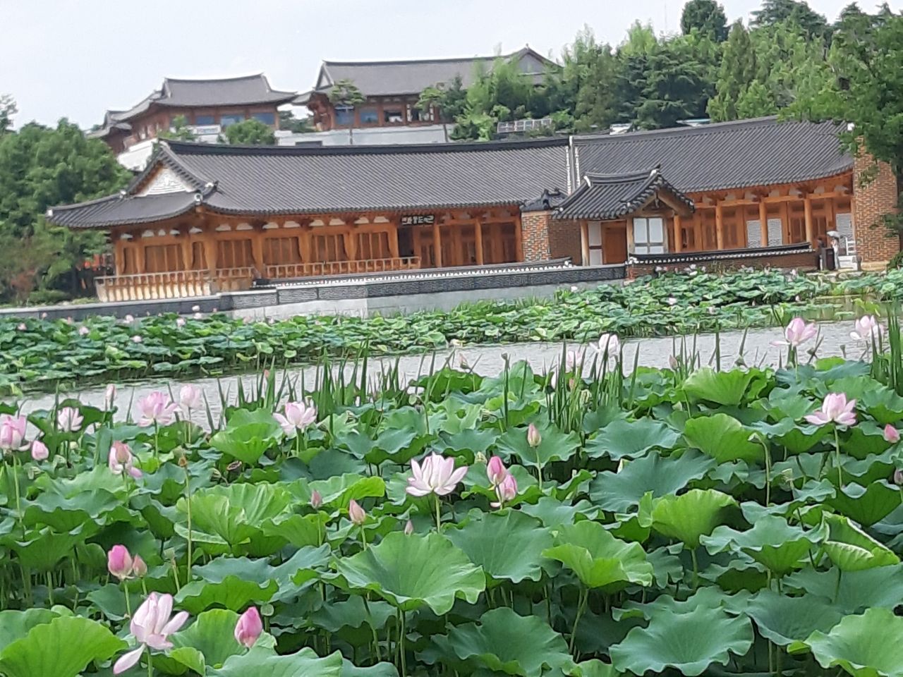 Deokjin Park, Jeonju