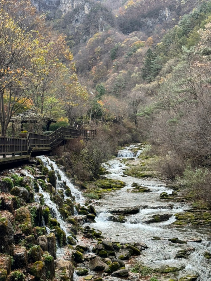 Deokhang Garden