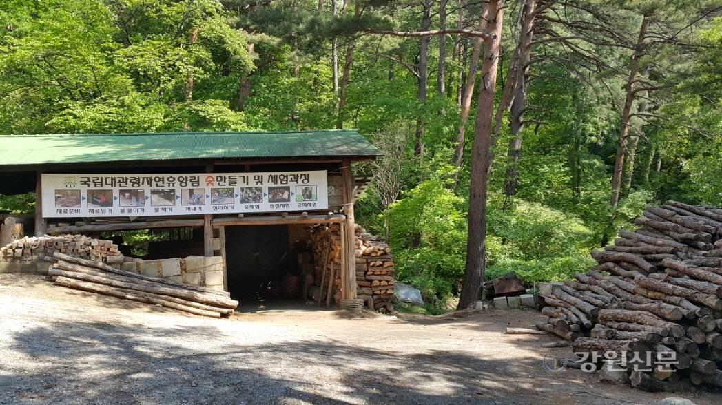 Daegwallyeong National Forest Recreation Center