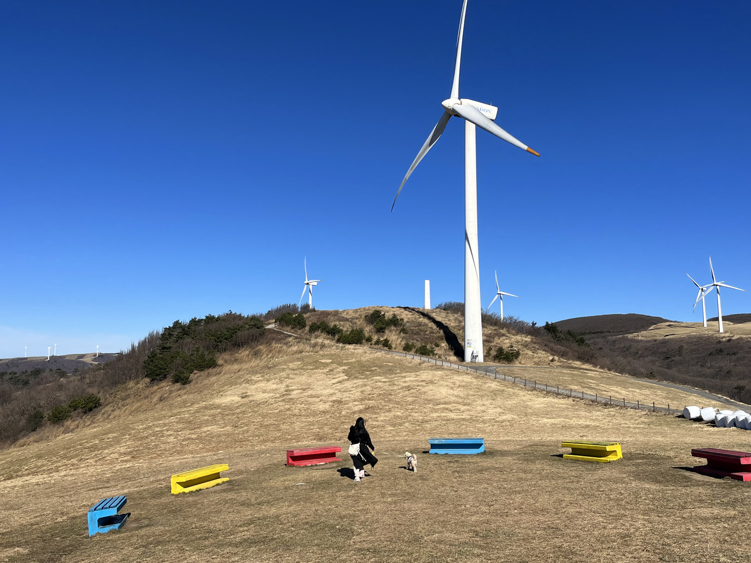 Daegwallyeong Sky Ranch