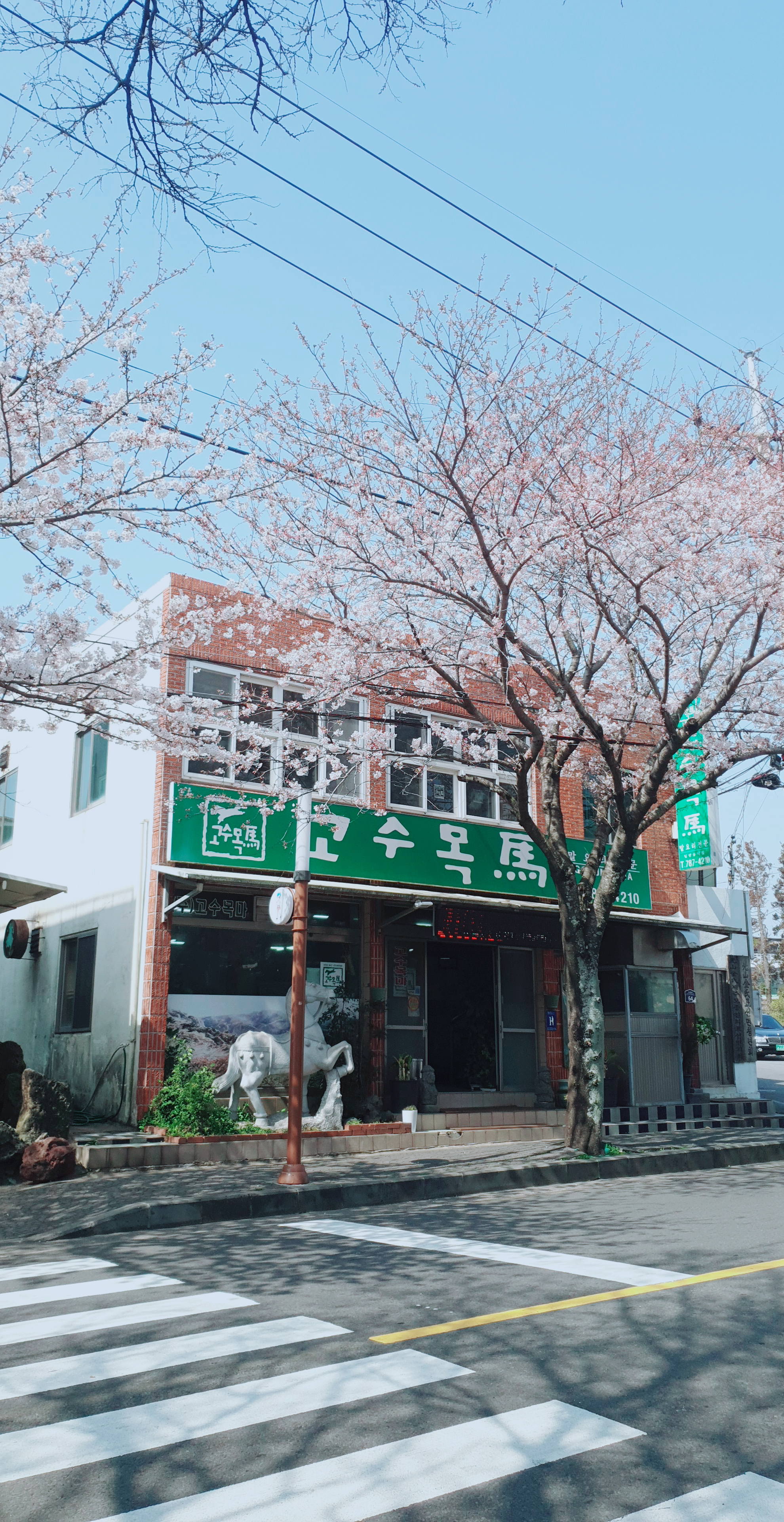 고수목마식당