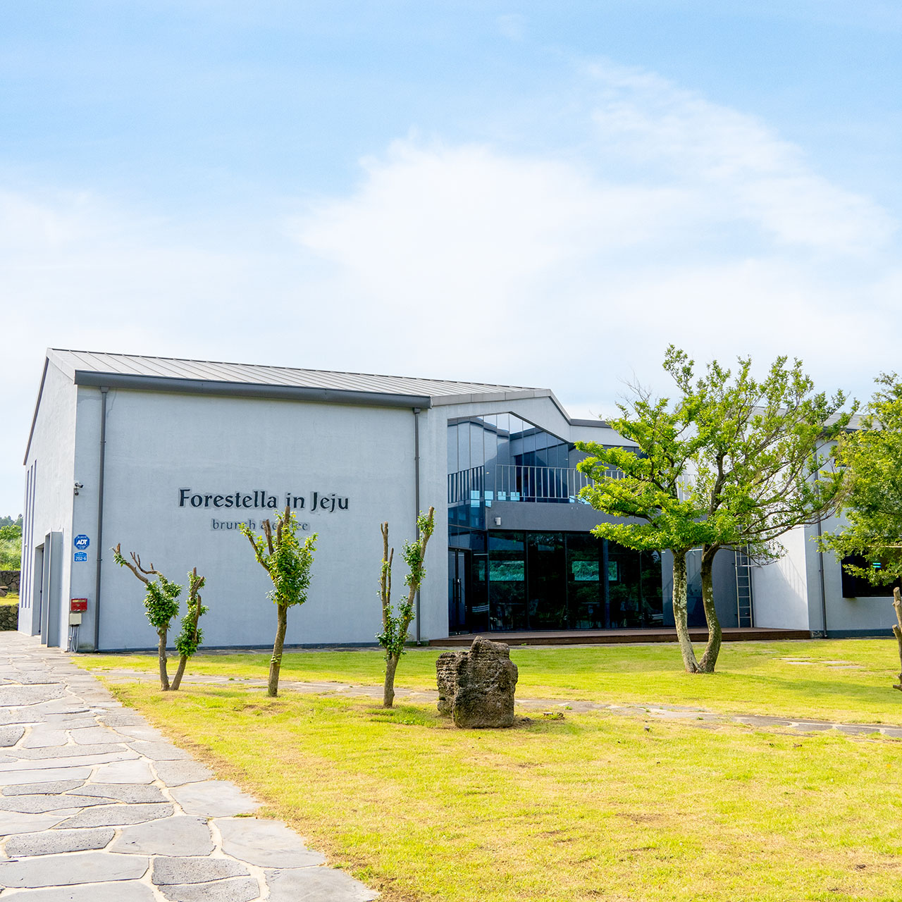 Forestella in Jeju