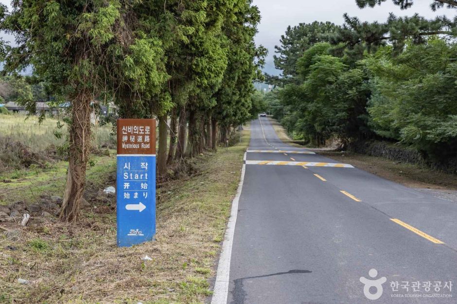 Mysterious Road
