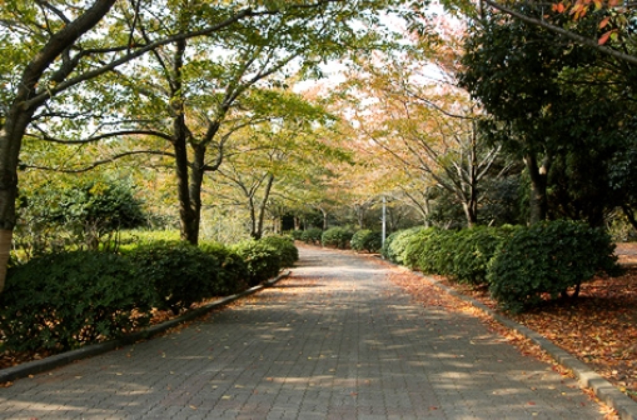 Halla Arboretum