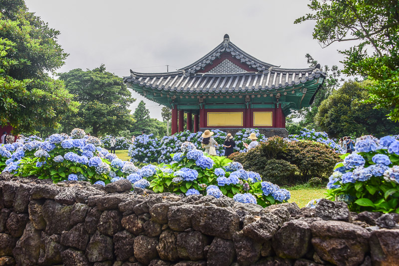 Honinji Pond