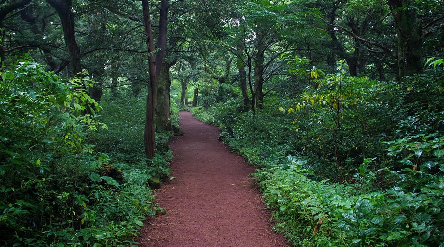 Bijarim Forest
