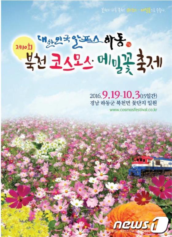 하동 북천 코스모스 메밀꽃 축제