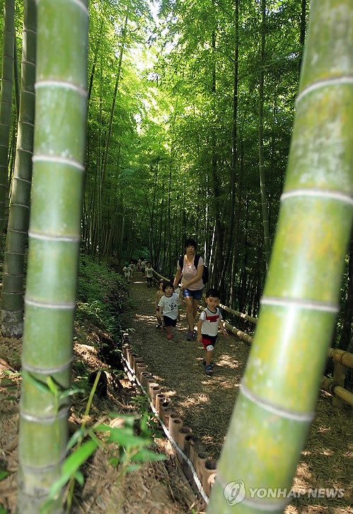 거제맹종죽테마파크