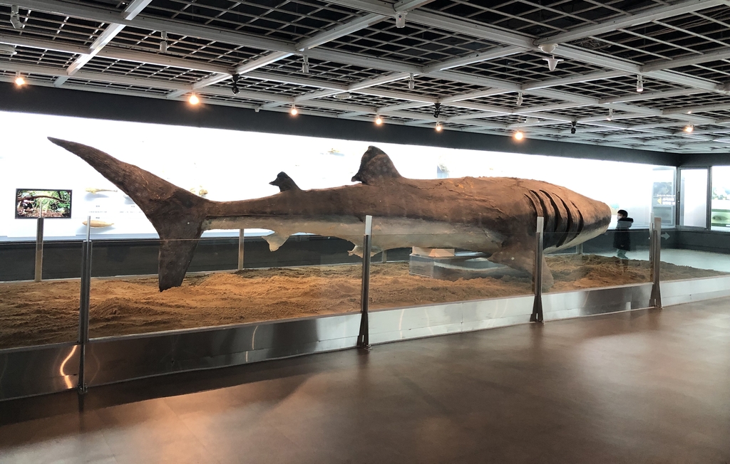 Busan Marine Natural History Museum