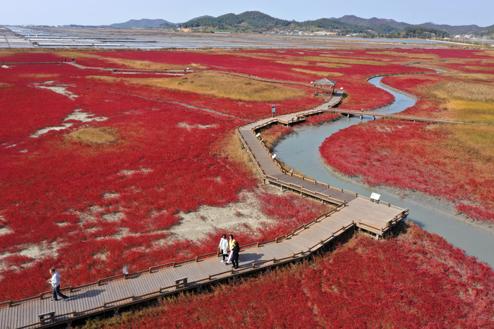 Taepyeong Halophyte Botanical Garden