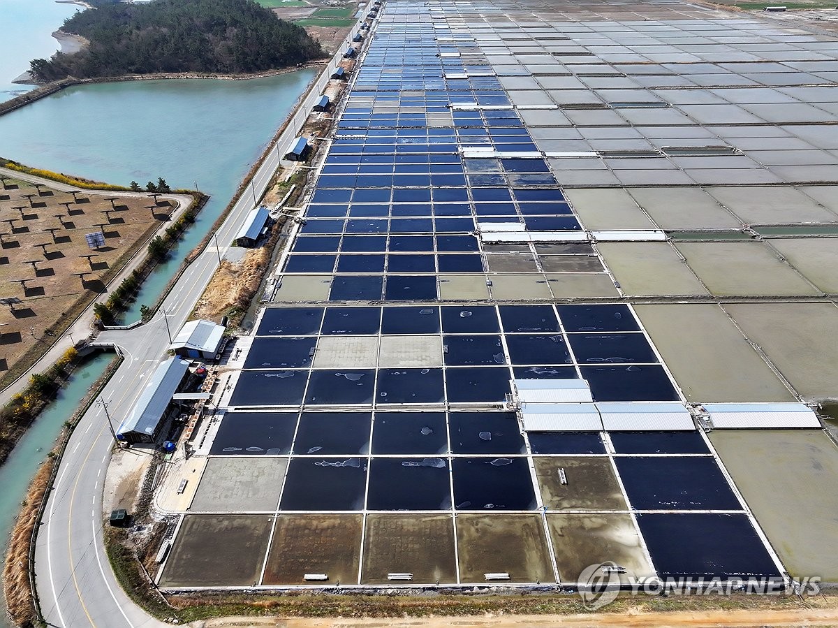 Taepyeong Salt Farm