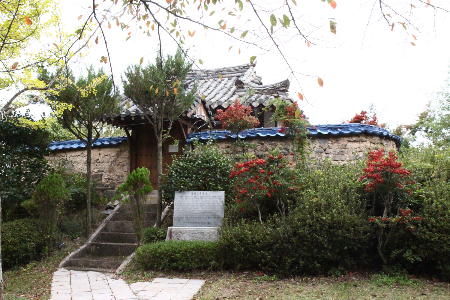 Seonbawi (Ipam)