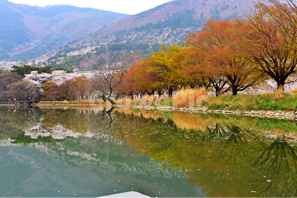 Jinhae Inland Water Environment Ecological Park