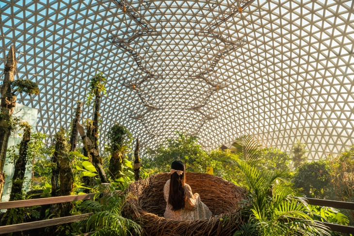 Geoje Botanical Garden