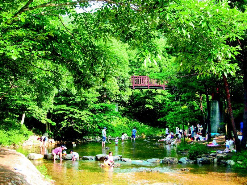 Oseosan National Natural Recreation Forest