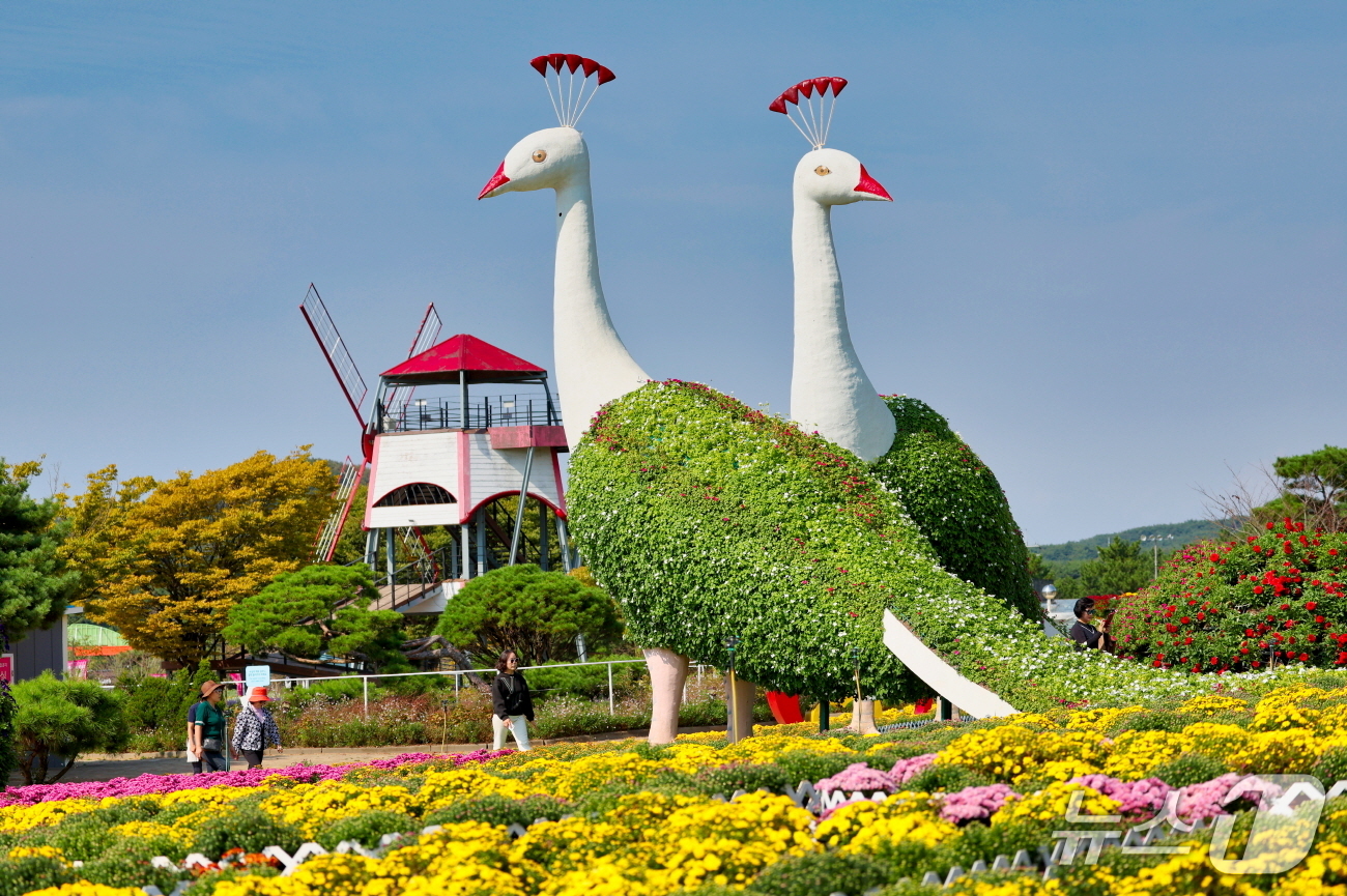 Korea Flower Park