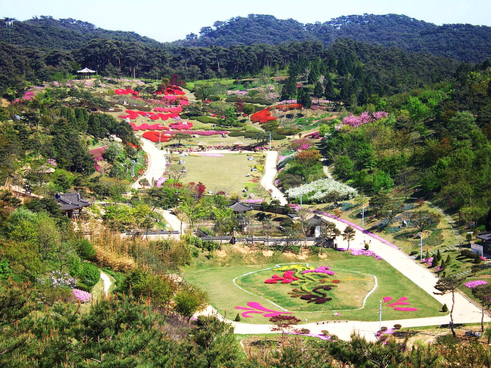 Anmyeondo Recreational Forest
