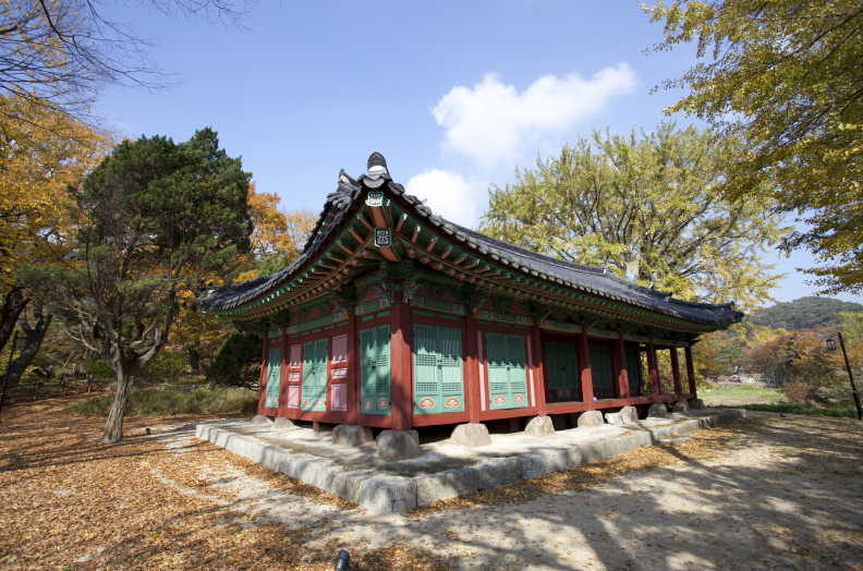 침괘정