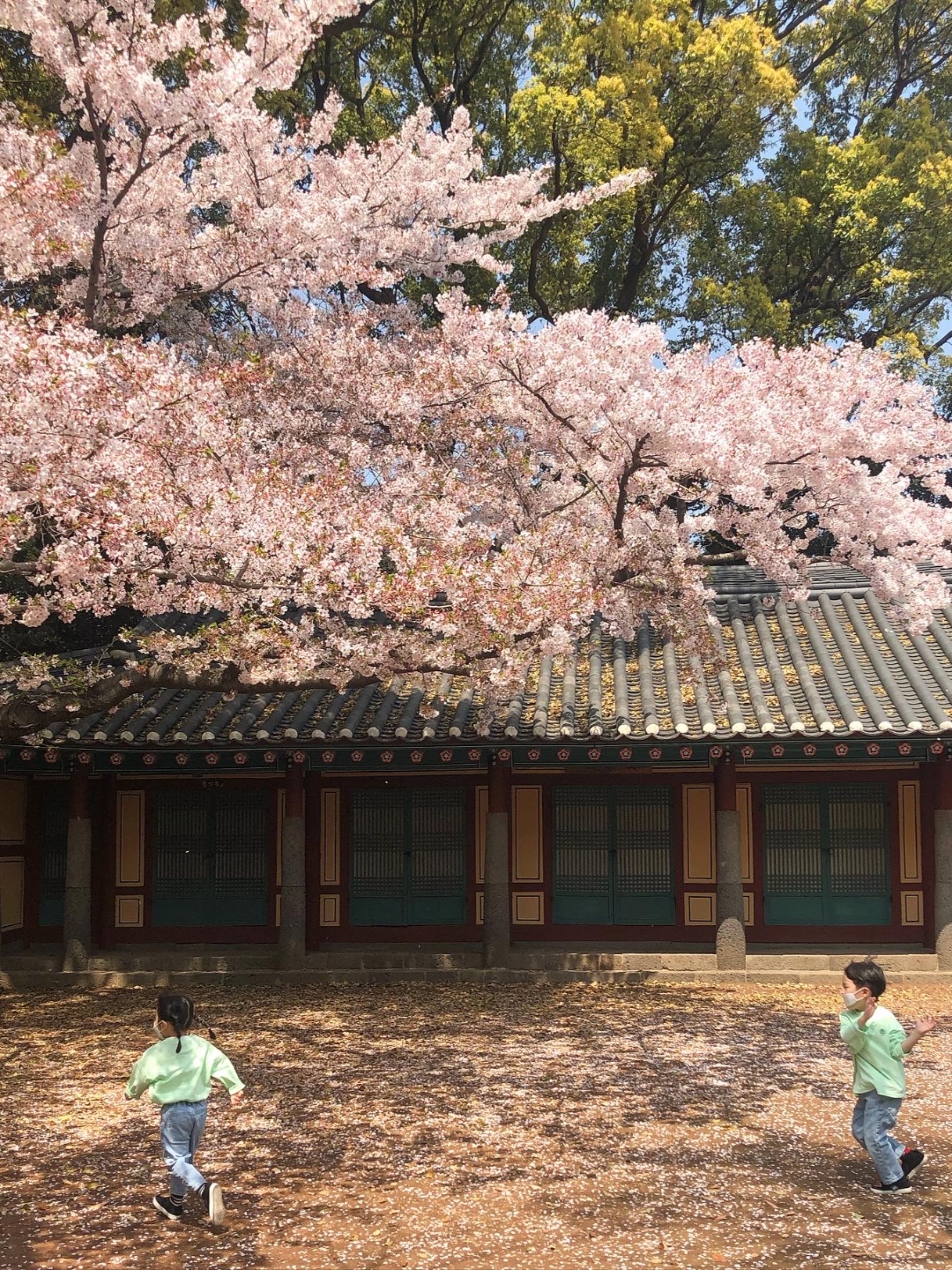 삼성혈