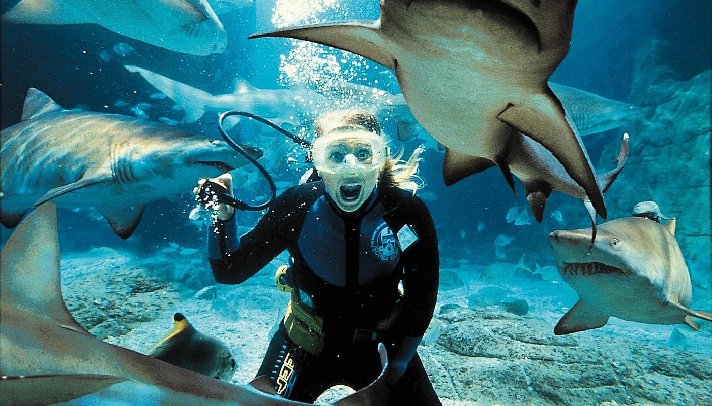 SEA LIFE 부산아쿠아리움