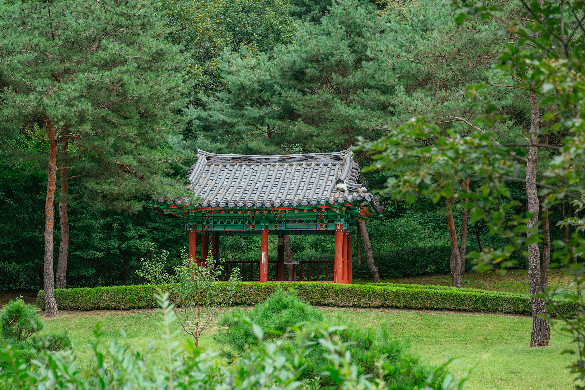 공작산 생태숲