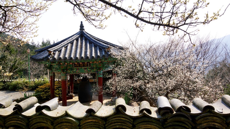 금둔사