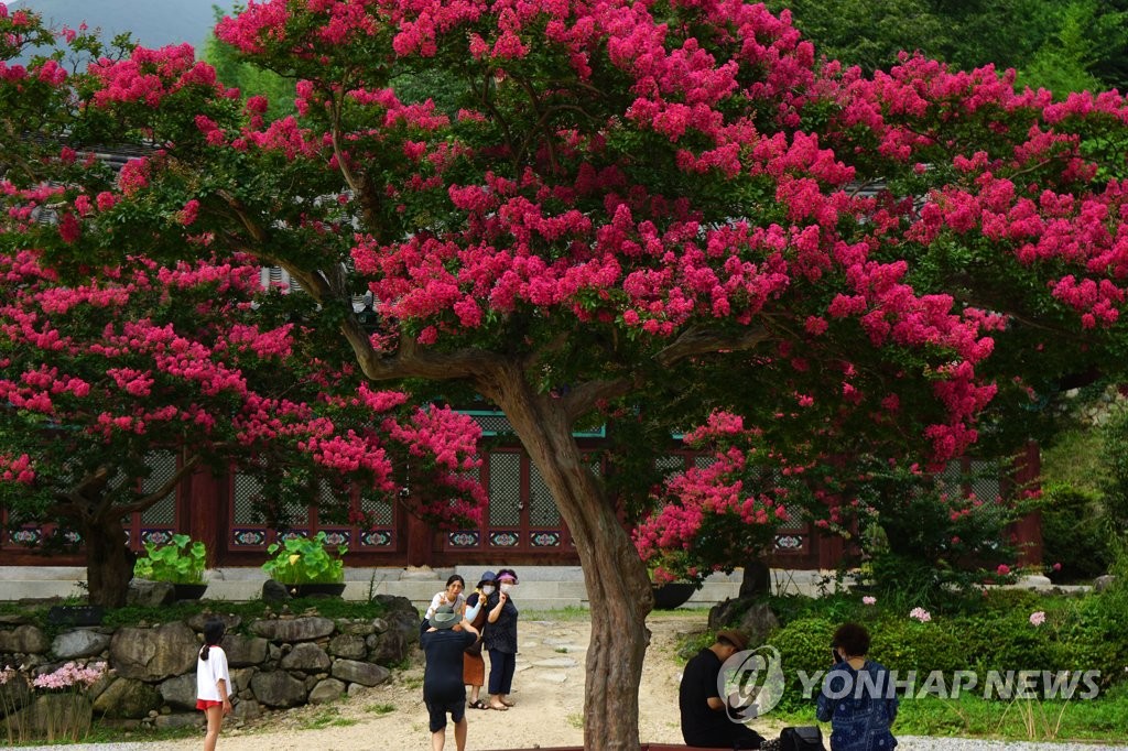 표충사