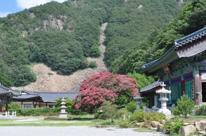 반야사