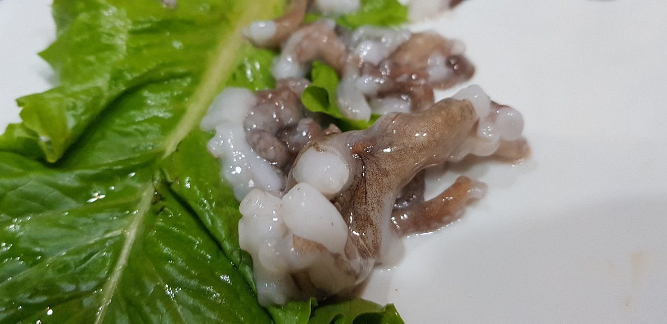 백두회수산