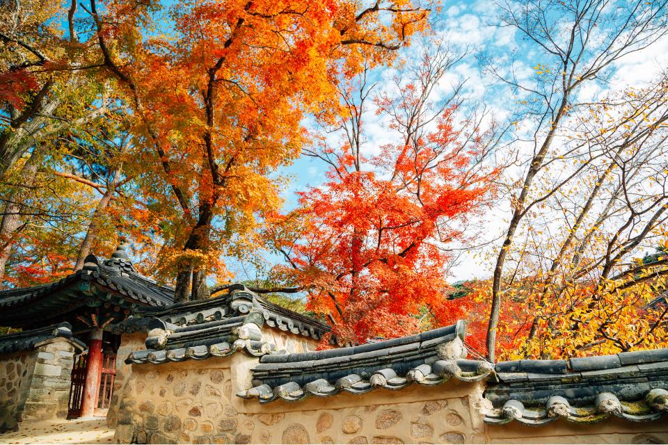 Dongmun Seolleongtang