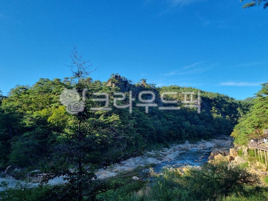 울진 불영사계곡 일원