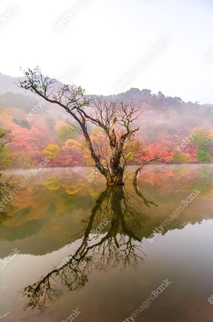 주산지