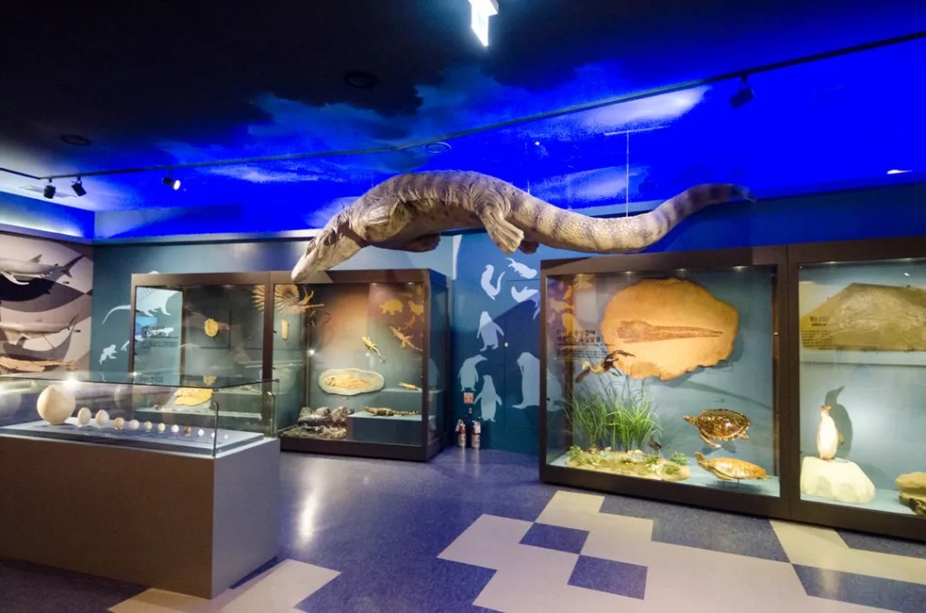 Ganghwa Natural History Museum