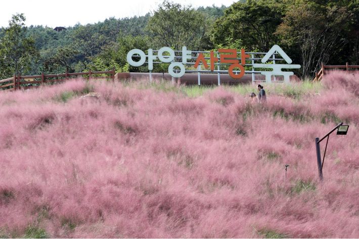 정읍사공원