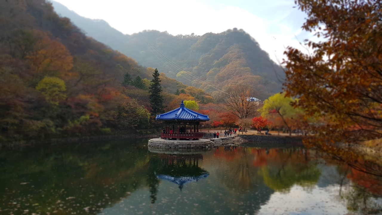 우화정