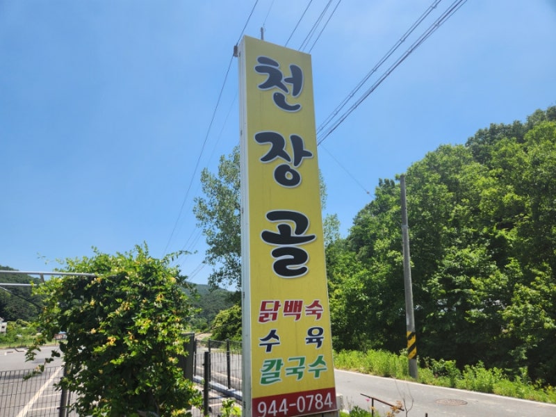 천장골