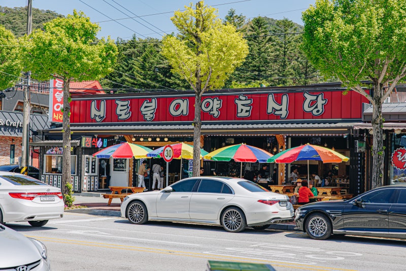 신토불이약초식당