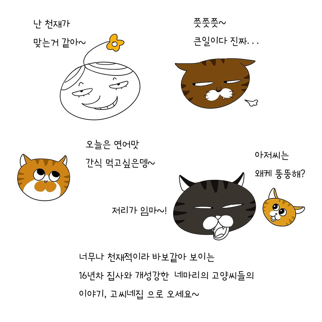 고씨네집