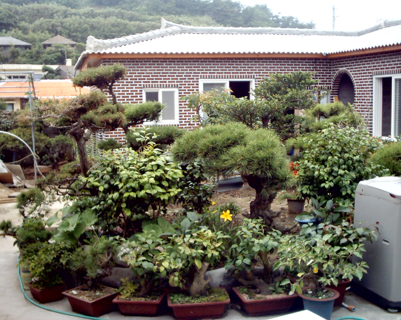 우림장민박