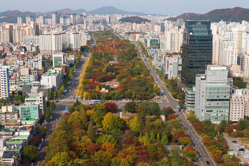 중앙공원