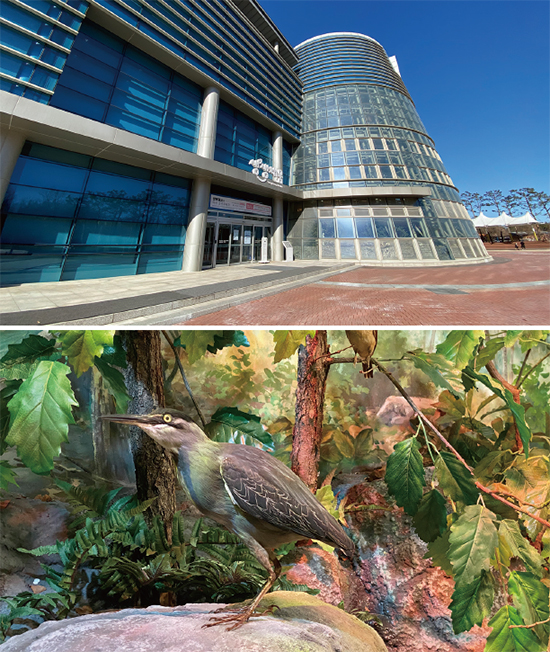 Institut national des ressources biologiques