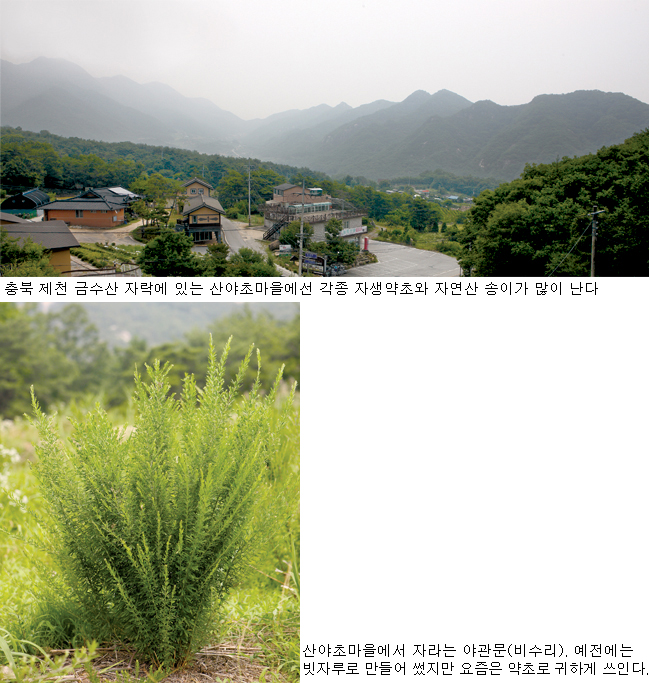 Jecheon Sanyacho Village