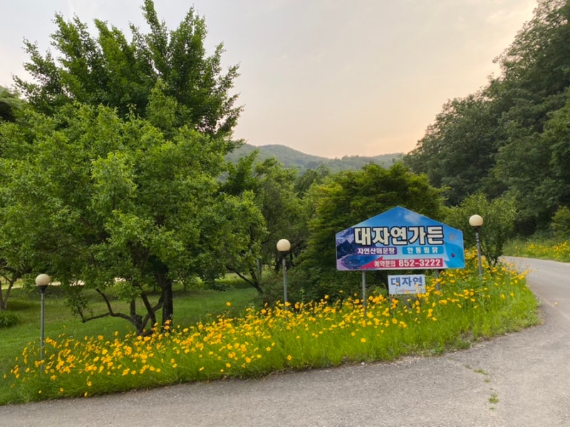 Daejayeon Garden