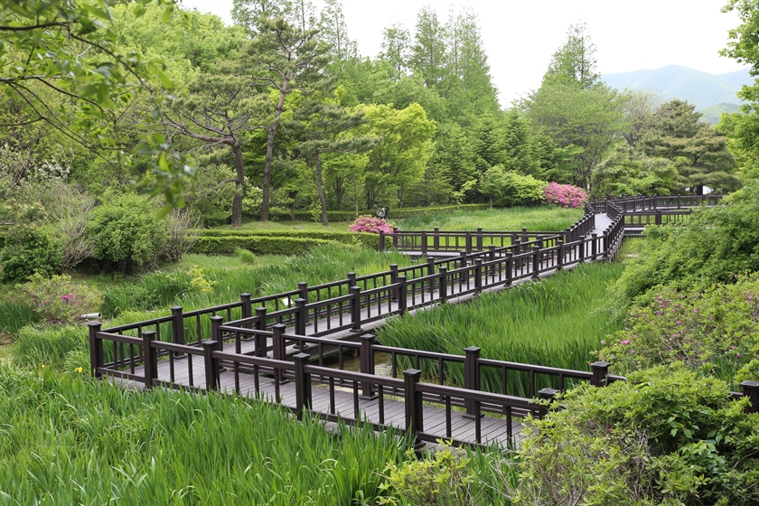 Gyeongsangbuk-do Arboretum