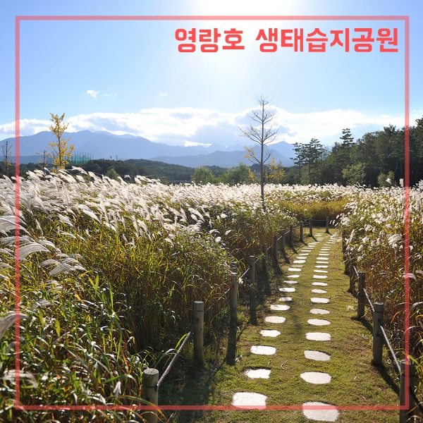 Yeongnangho Wetland Ecological Park