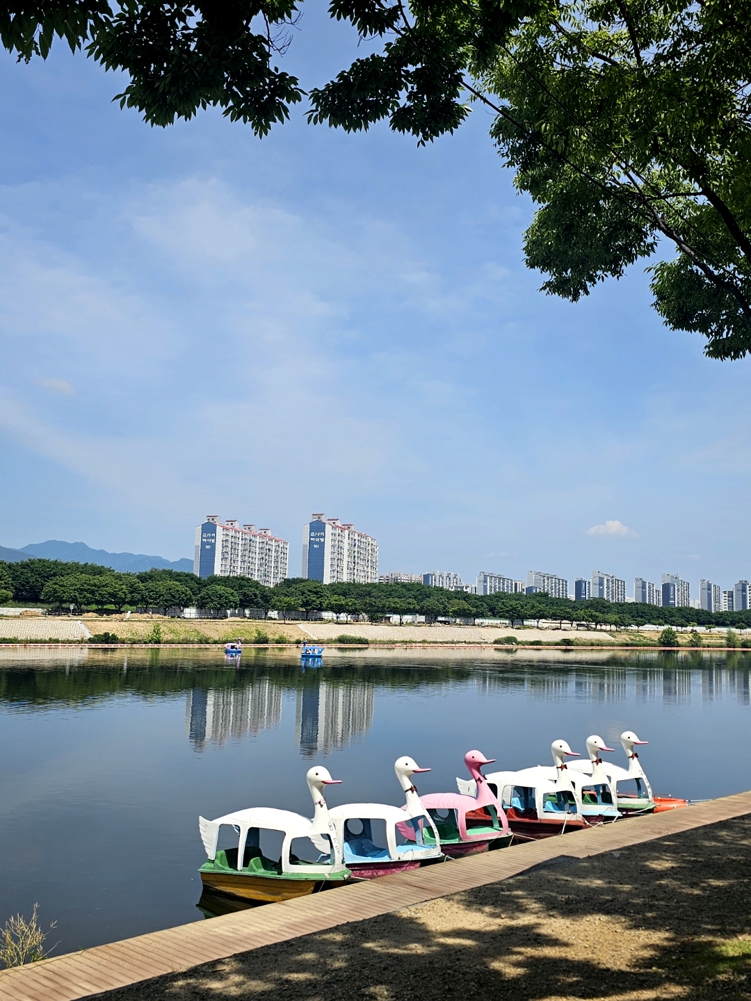 동촌유원지